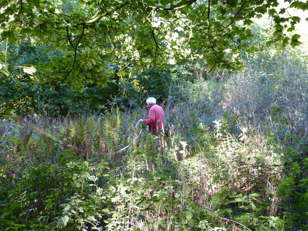 The field as it appeared before any surveying took place